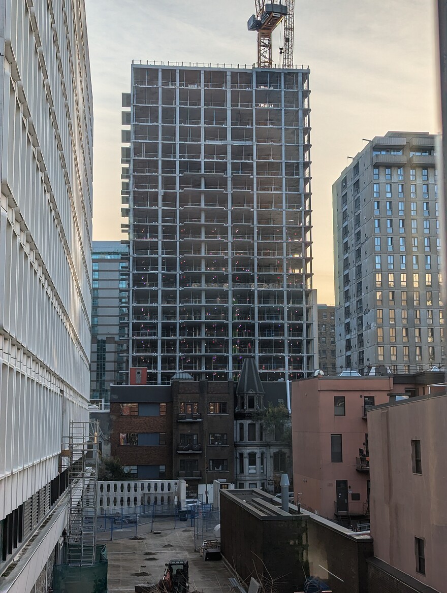 PXL_20241103_203918494