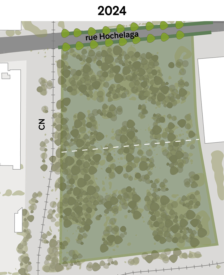 Boisé Steinberg 2024