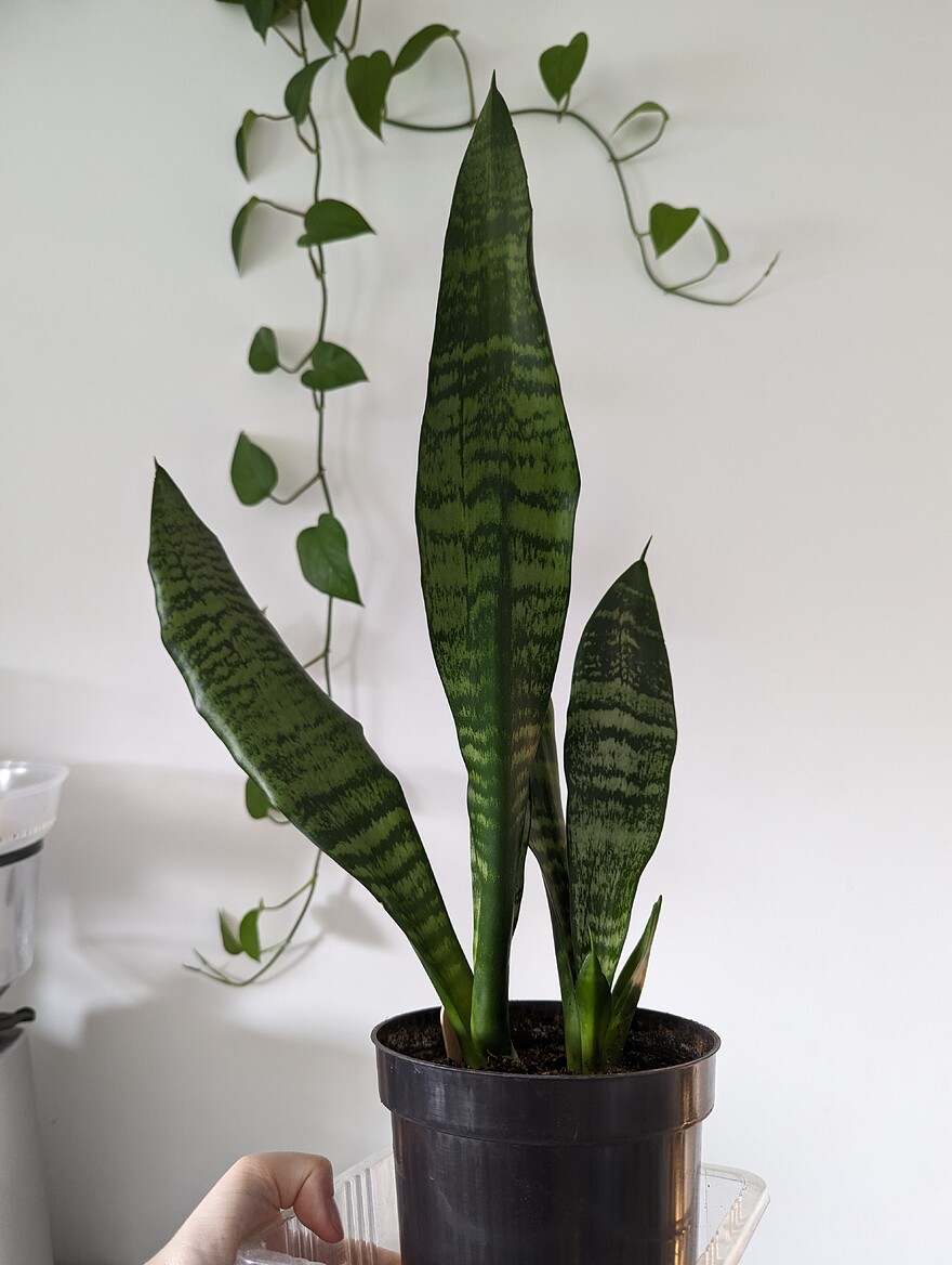 AGC_20250726_150037218