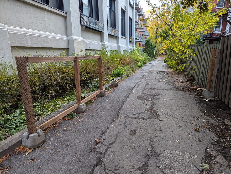 PXL_20251024_120324002