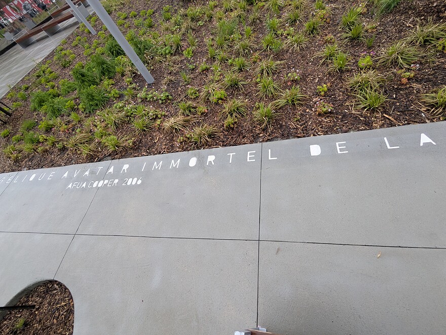 PXL_20250523_231453562