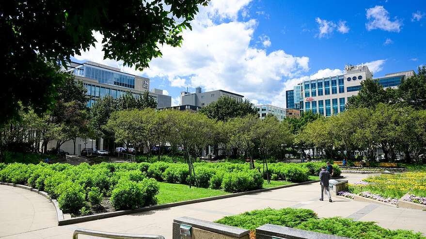 Le jardin Jean-Paul-L'Allier se trouve au coeur du quartier Saint-Roch.
