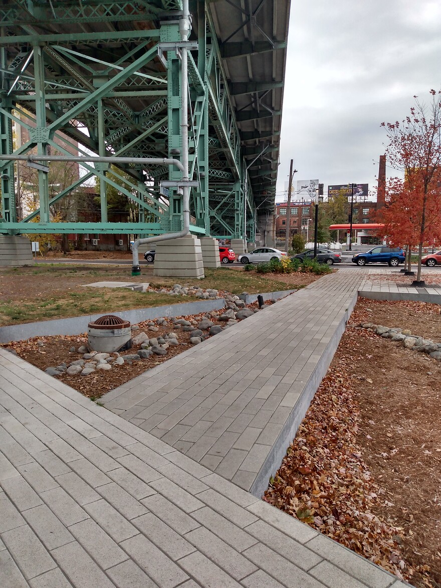 IMG_20241105_135154597_HDR
