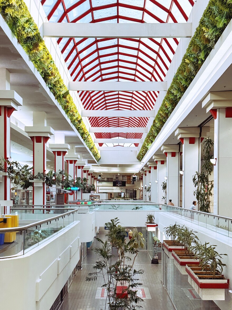 IMG_0660_SnapseedCopy