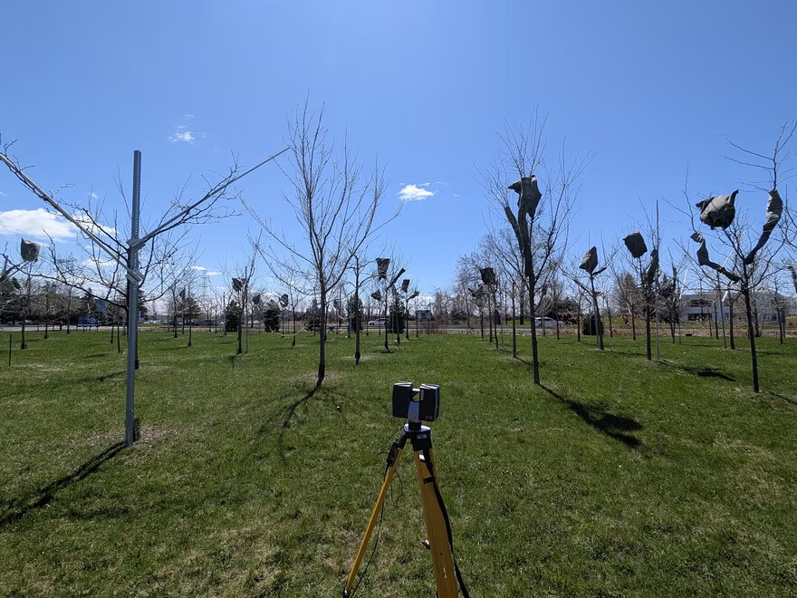 Researchers are using LiDAR censors to collect data on the trees planted in Hydro-Québec's experimental forest. (Submitted by Loïc Charlebois-Vachon)
