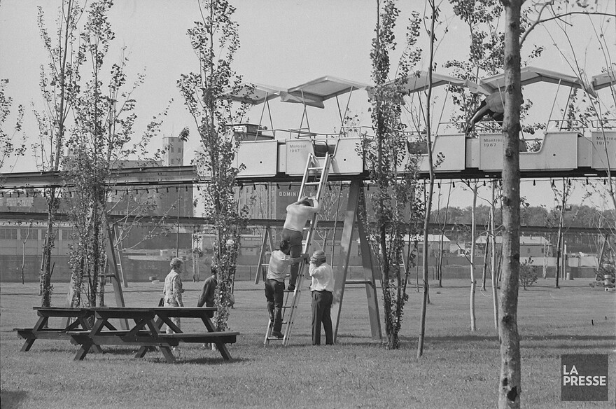 06M_P833S5D1967-0446_008f