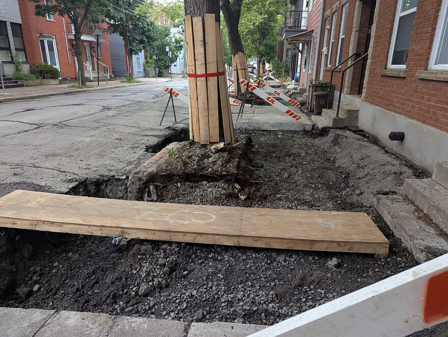 PXL_20250813_212011162