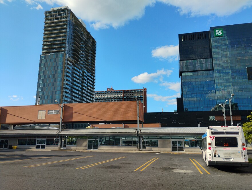 IMG_20250827_174445939_BURST000_COVER