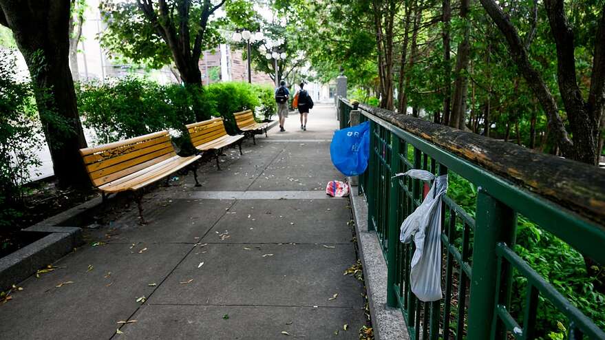 Des déchets jonchent le pourtour du jardin Jean-Paul-L’Allier, ici vu à partir de la rue Saint-Vallier.