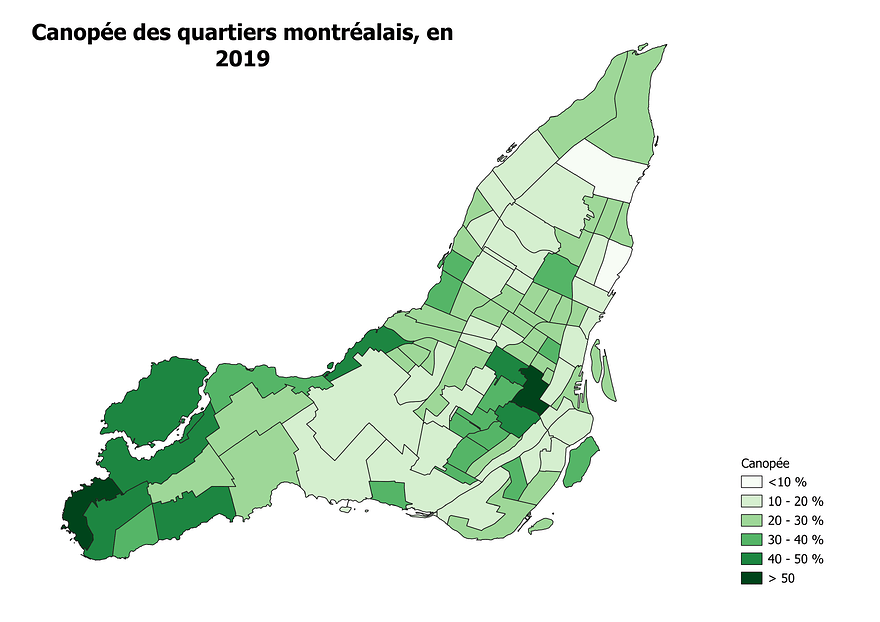 canopee_montreal_general