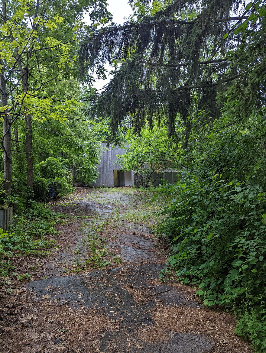 PXL_20220629_195037130
