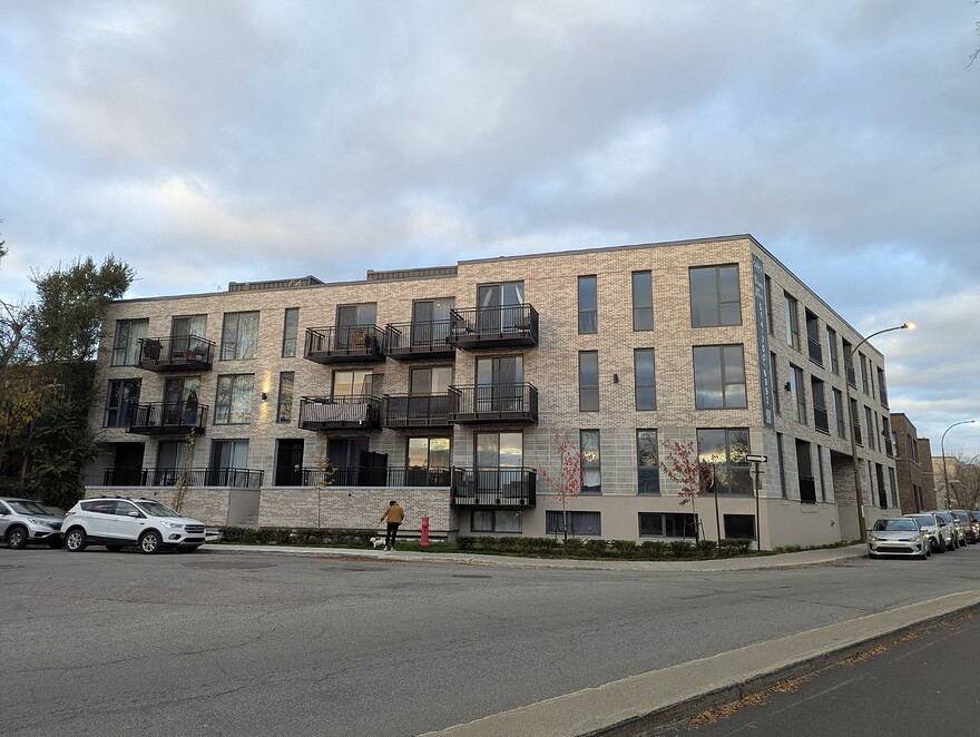 PXL_20251102_211702216 - Copy