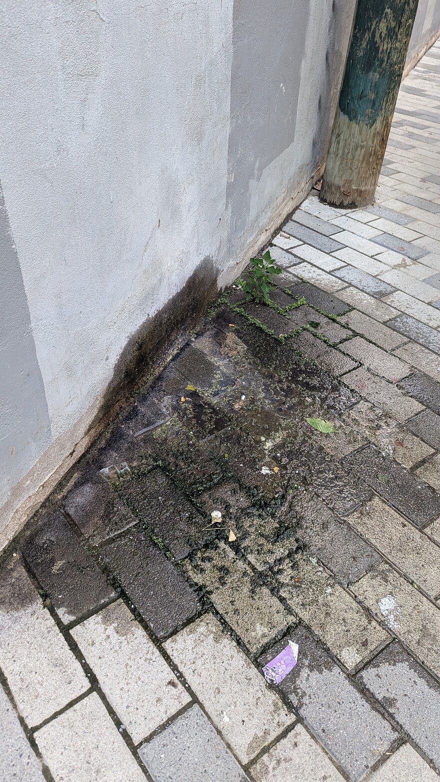 PXL_20240625_002518993