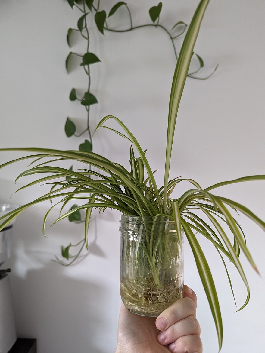 AGC_20250726_150156334