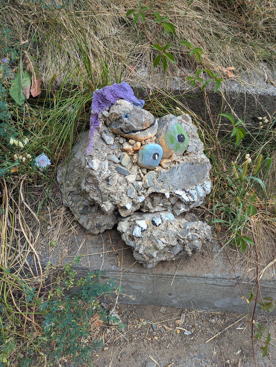 PXL_20250805_163528904