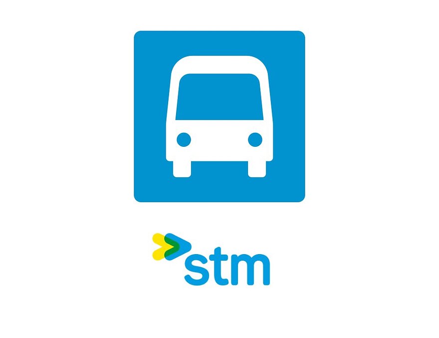 STM_bus