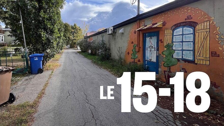 Une porte et une fenêtre sont peintes sur le mur d'un bâtiments. Des plantations sont le long de la ruelle, ainsi que des poubelles.