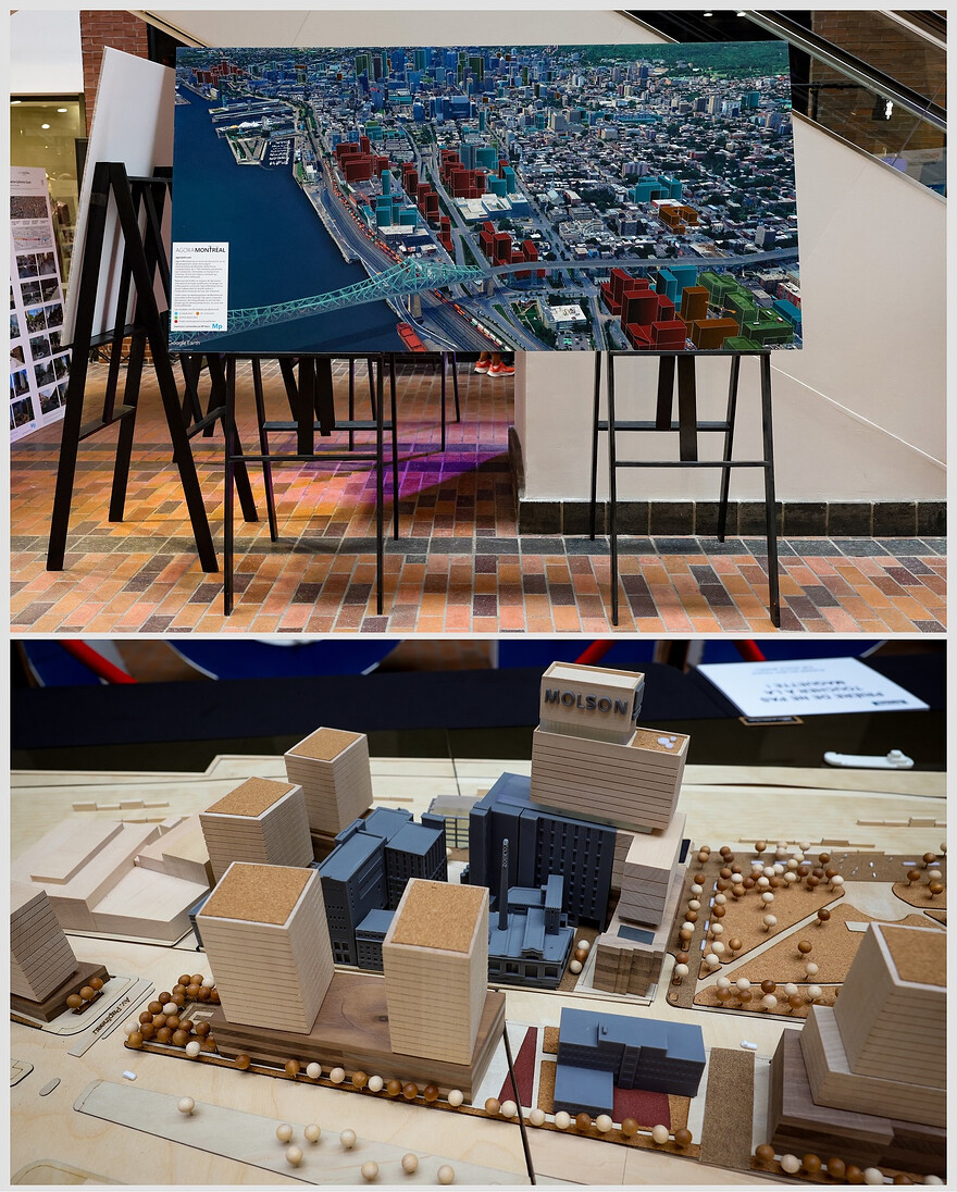 ©JF Savaria 2025 - Quartier Molson