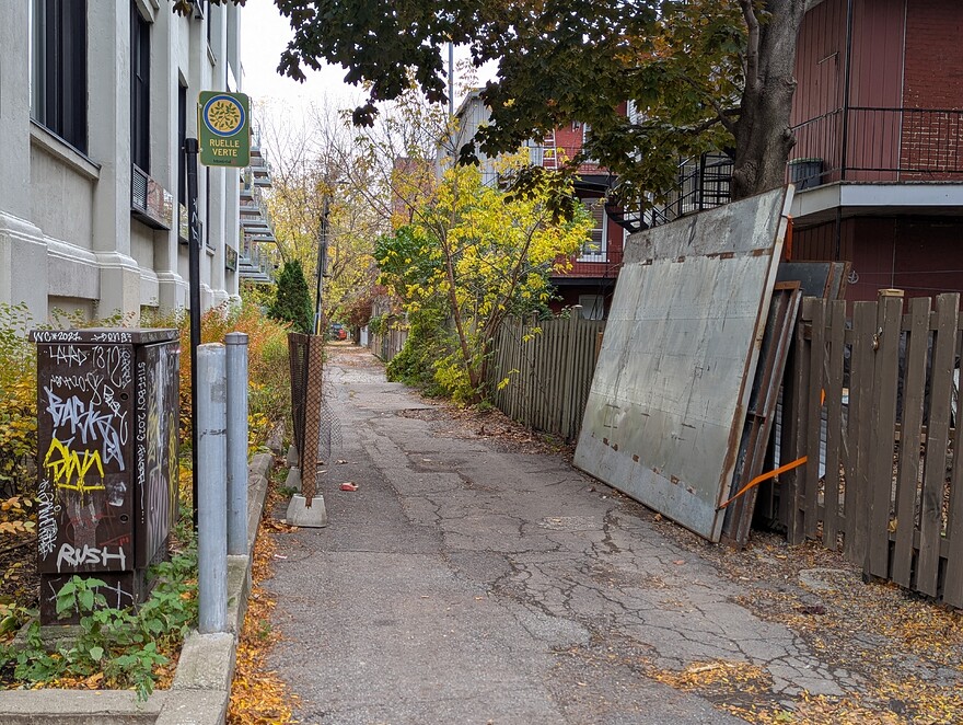 PXL_20251103_132357783.PORTRAIT.ORIGINAL