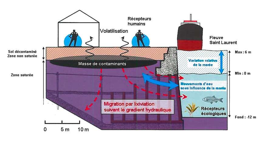 Illustration des échanges entre l'eau du fleuve et les sols contaminés.