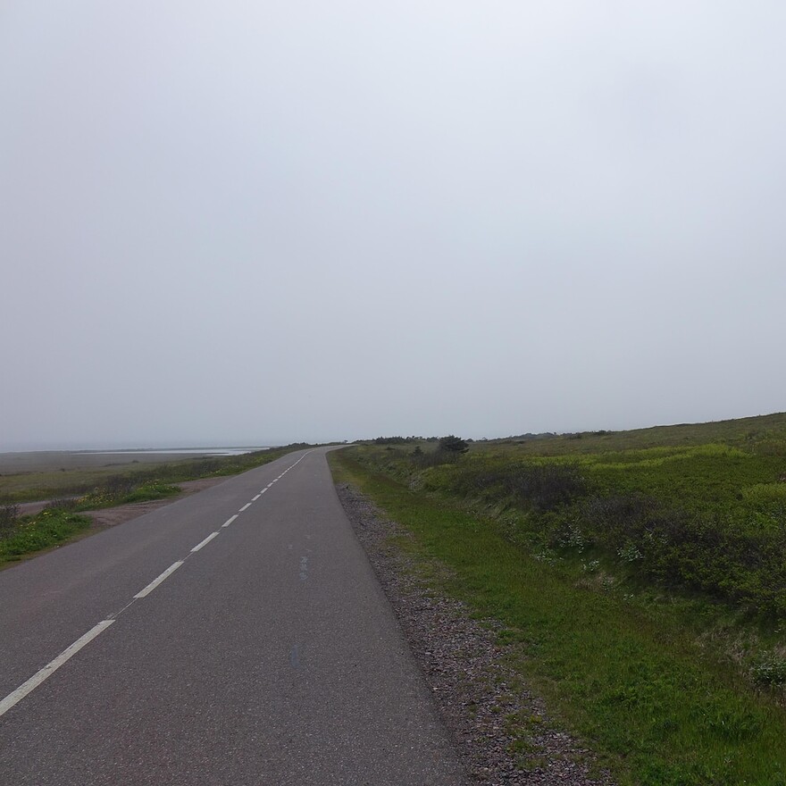 Une route dans un paysage de champs d'herbes vertes avec un ciel grisonnant.