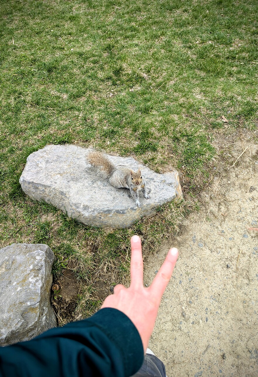 PXL_20250501_220854720~2