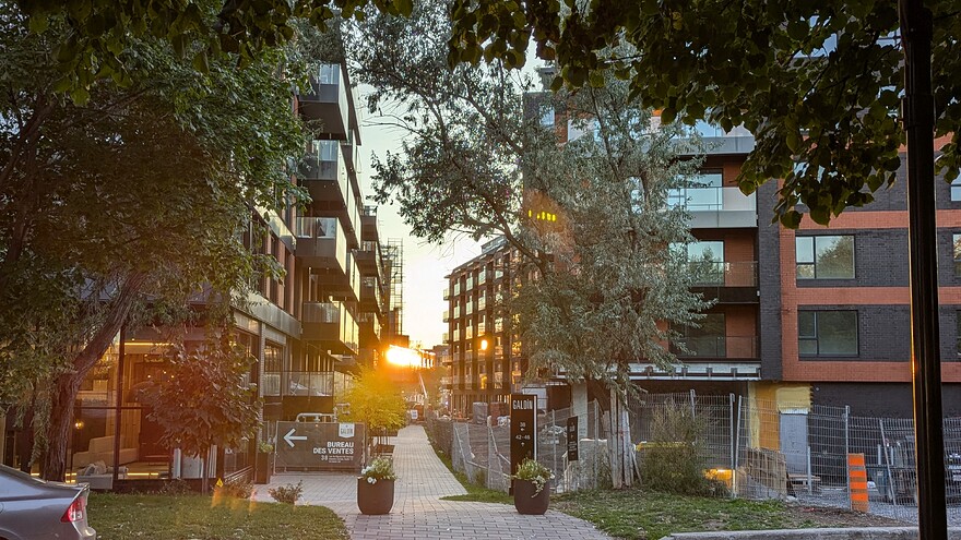 PXL_20241019_214414117.PORTRAIT.ORIGINAL