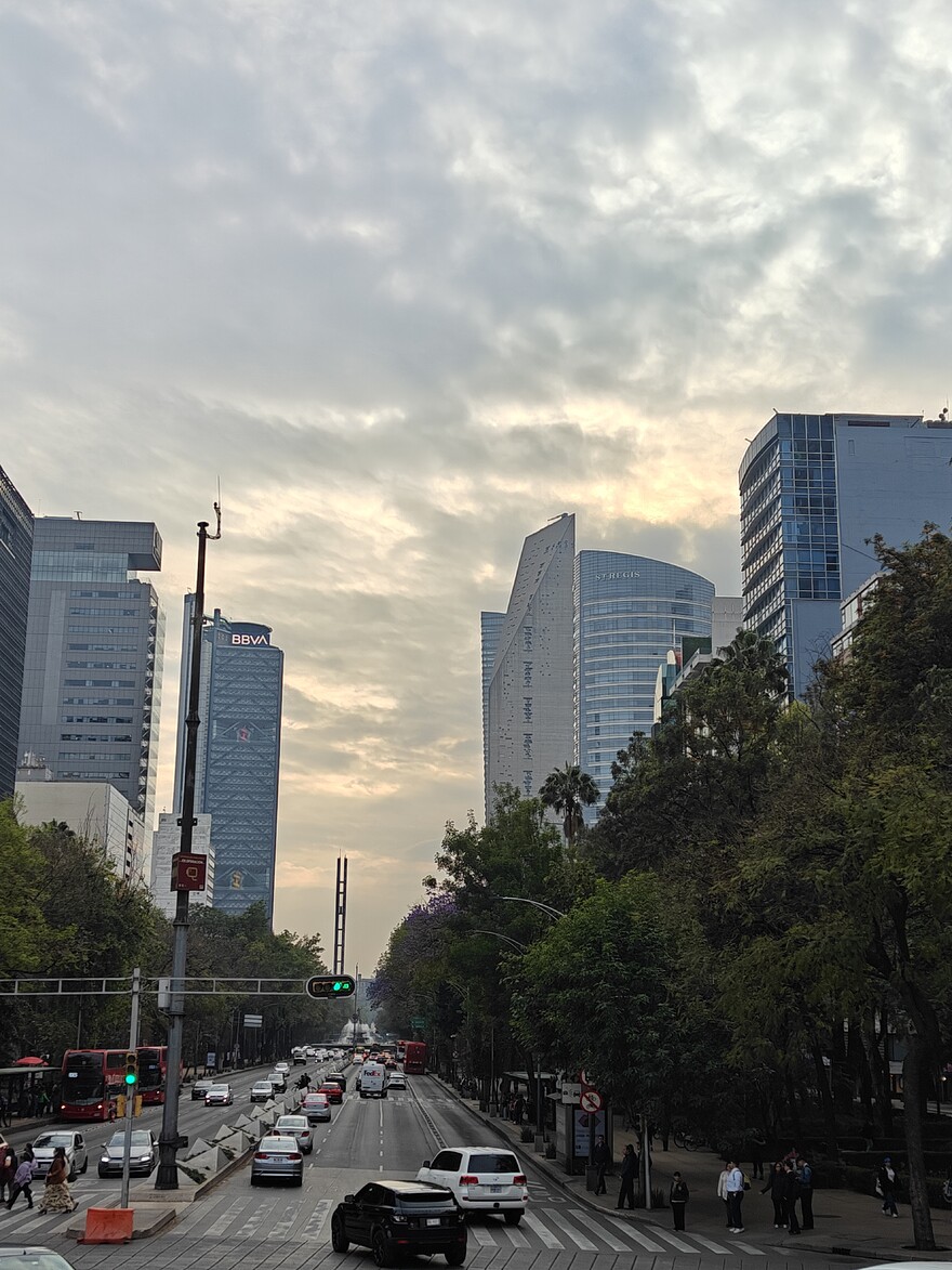 IMG20250219173128