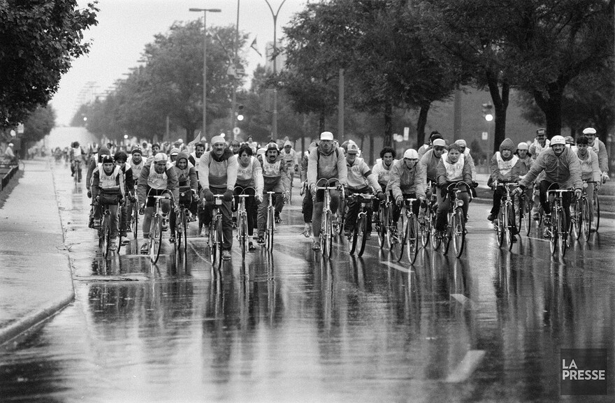 06M_P833S5D1985-0482_005