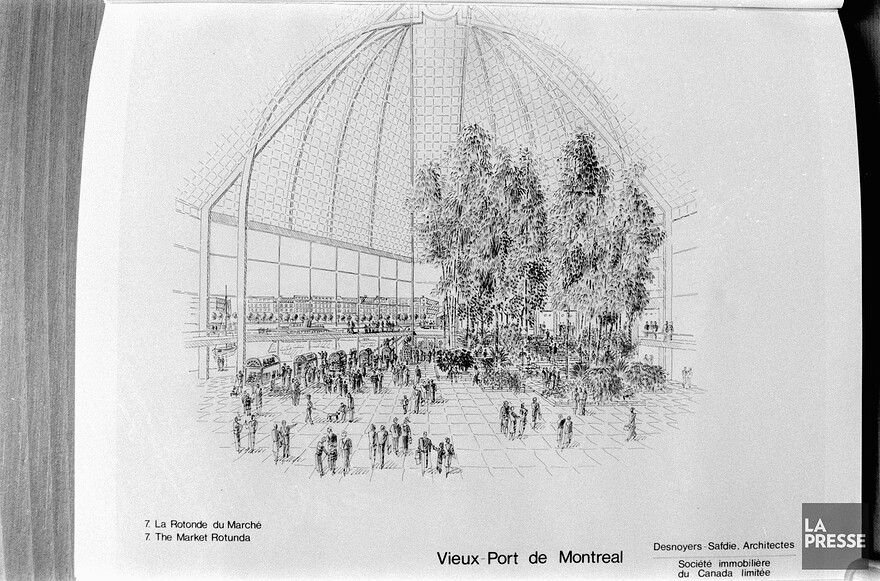 06M_P833S5D1985-0361_027