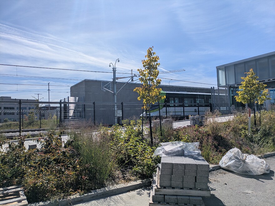 PXL_20250921_163017698