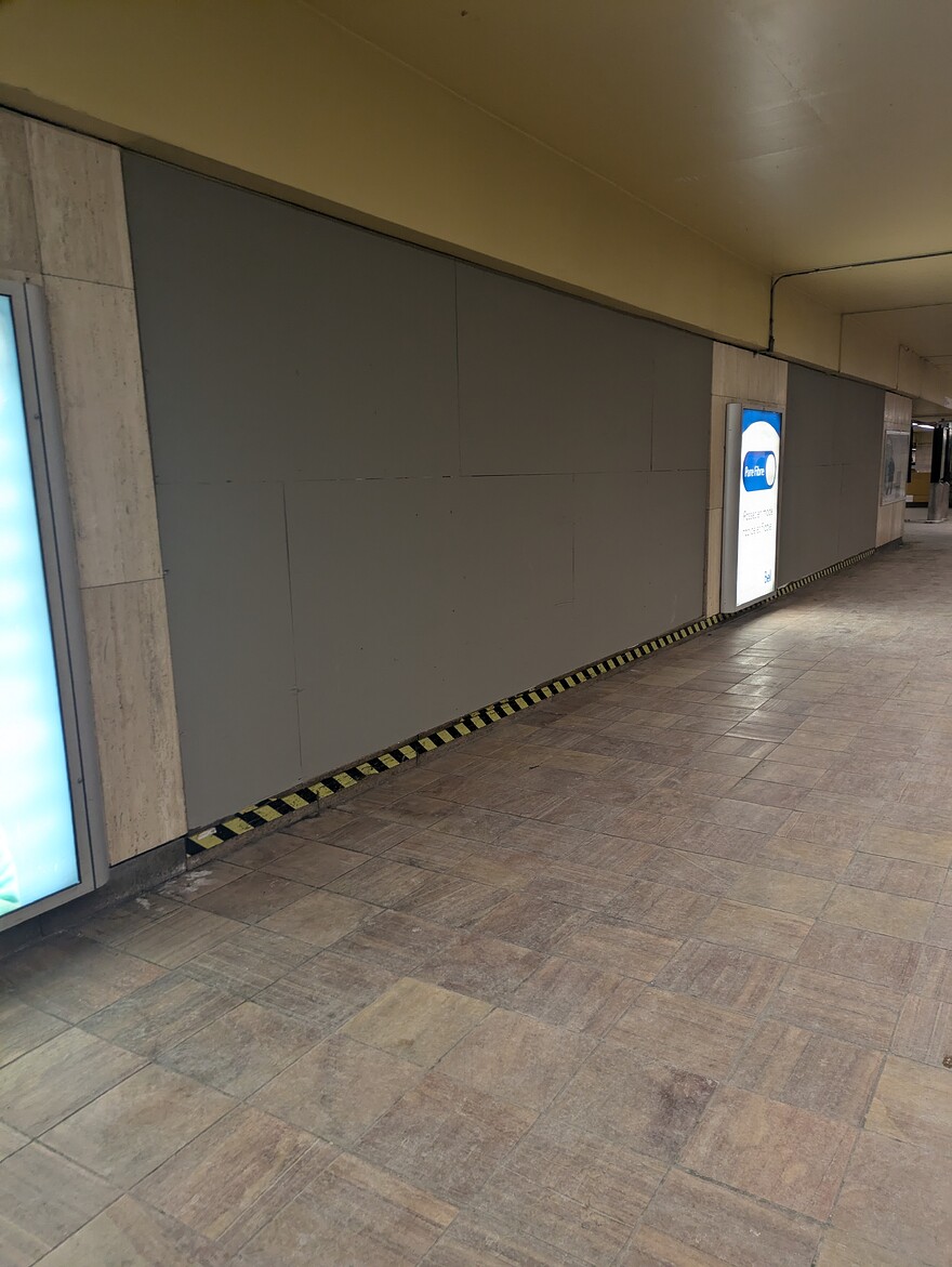 PXL_20250217_154331306