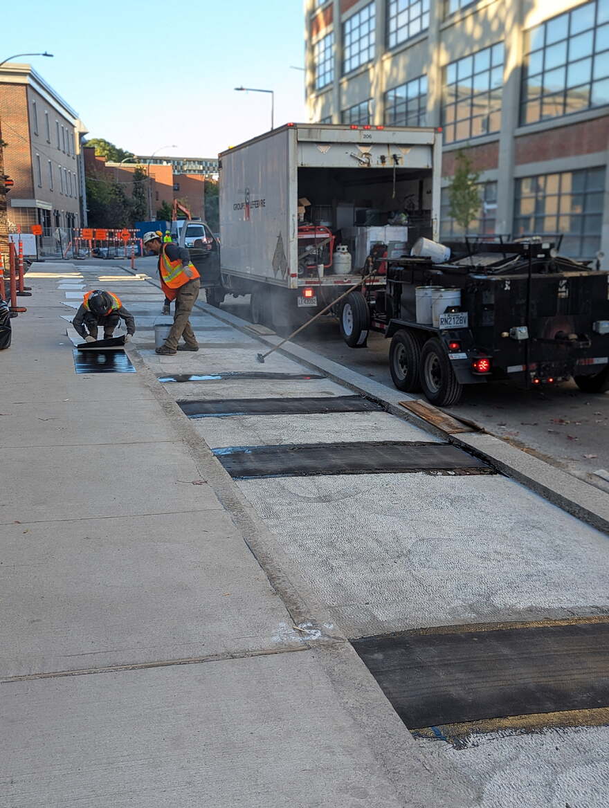 PXL_20251003_121613441.PORTRAIT