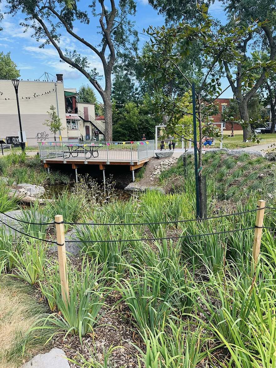 536039432_10161912003527883_3197554667919390227_n