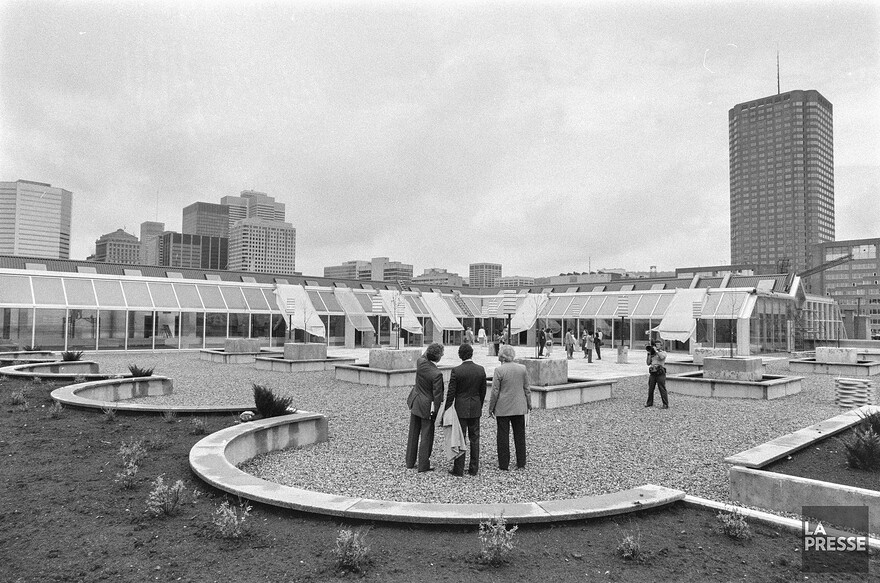 06M_P833S5D1983-0176_009