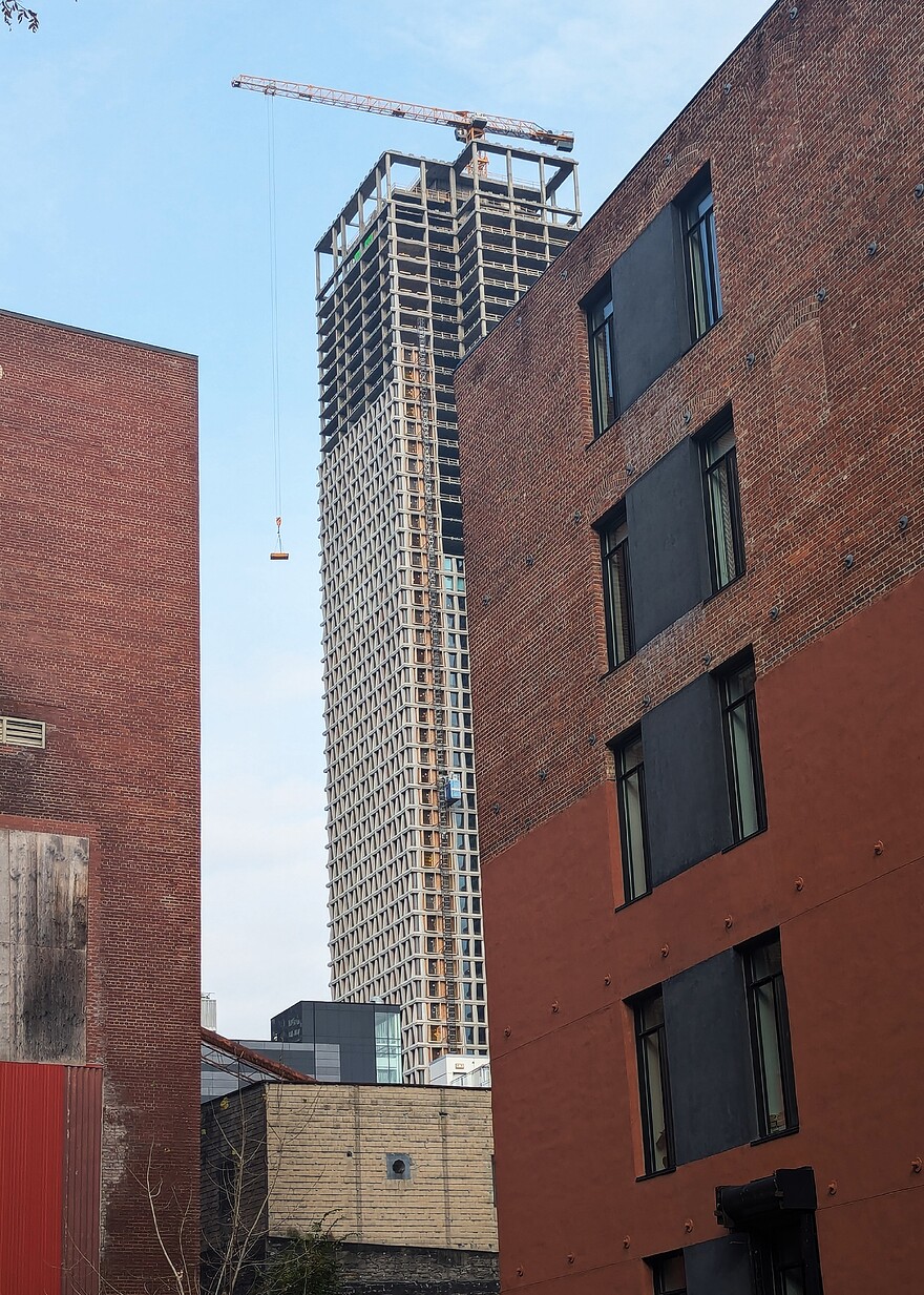 PXL_20241030_145106204