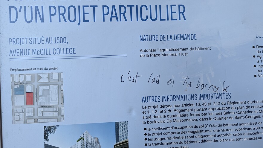 PXL_20241212_144002648