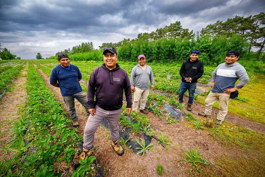 Originaires du Mexique, Rigoberto, Israel, Antonio, Alexander et Manuel Luna viennent à la Ferme Onésime Pouliot depuis plusieurs années comme travailleurs agricoles saisonniers. Ils ne seront pas touchés par les nouvelles mesures, car le gouvernement a compris que «sans eux, on ne pourra pas manger», souligne Frey Guevara.