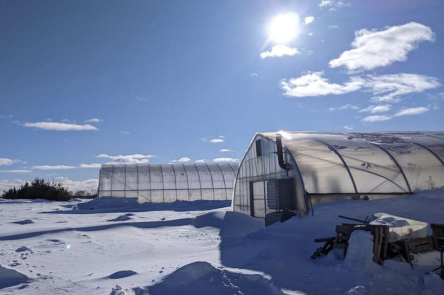 Située à Lotbinière et s'étendant sur une terre de plus de 40 acres, la Ferme Hantée fait pousser ses légumes et sa verdure dans les champs et en serre durant la belle saison.