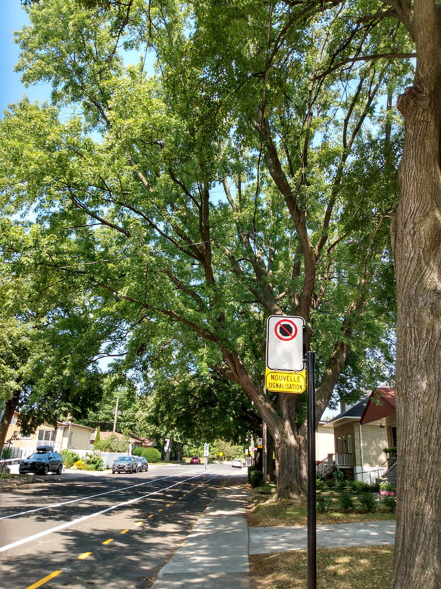 IMG_20250806_141238079_HDR