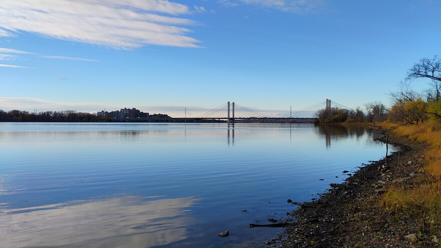 IMG_20251106_081023109_BURST000_COVER