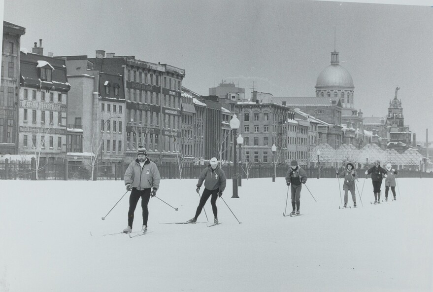 06M_P833S4D2159_0002_1