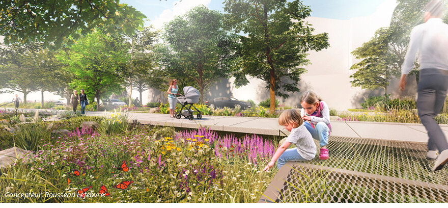 Les jardins: axe piétonnier en retrait de la rue du Séminaire, bordé d’espaces de biorétention.@Ville de Montréal - Mai 2025
