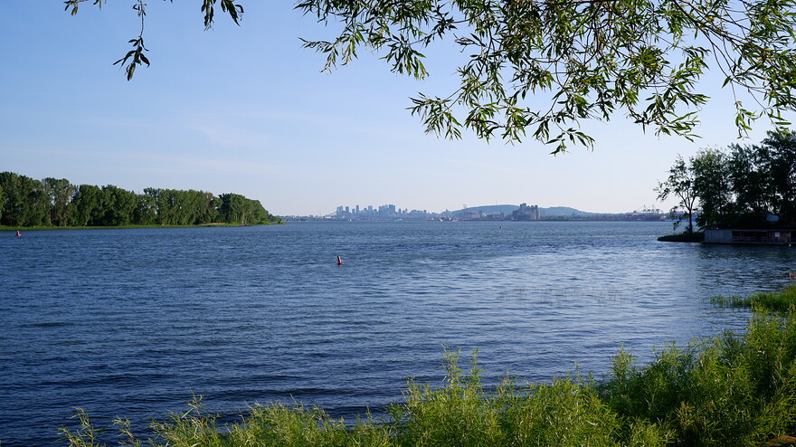 DSCF0573