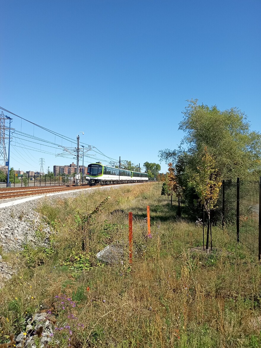 IMG_20250920_132738322