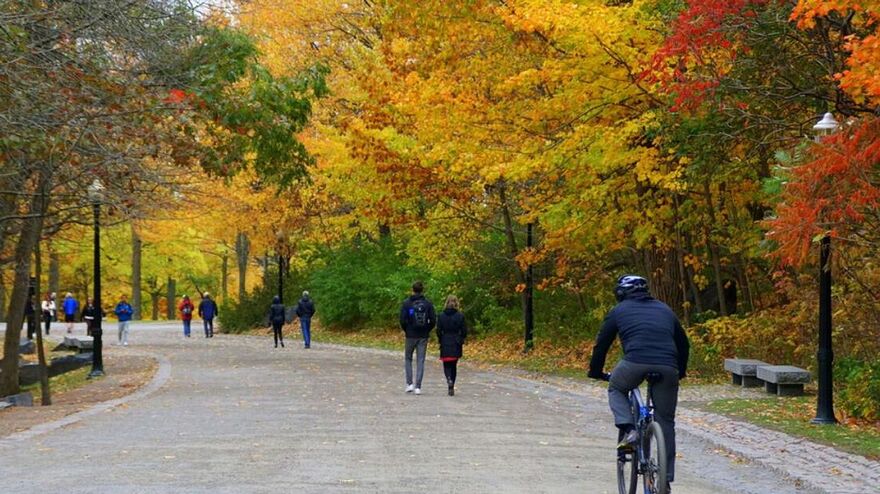 ​People walk and bike on a Mount Royal path.
