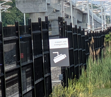 surveillance