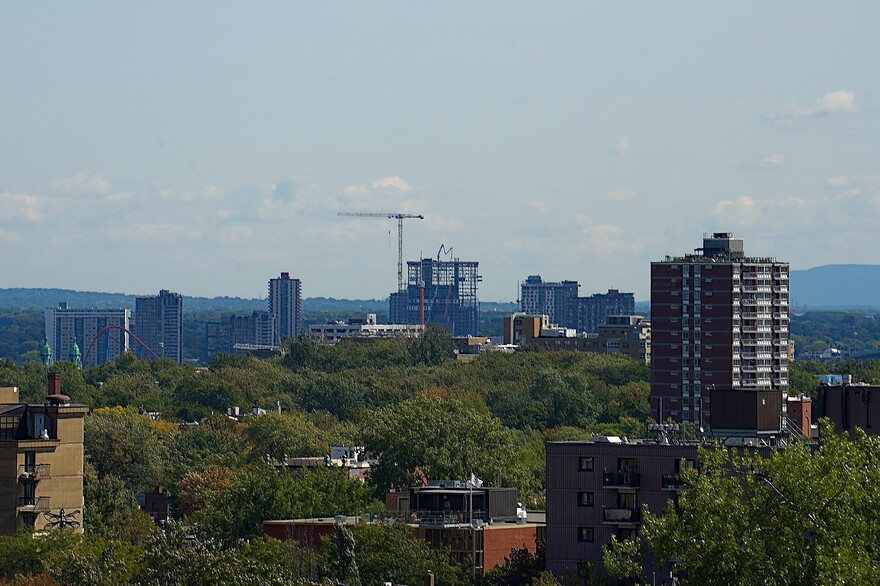 DSC04557_01