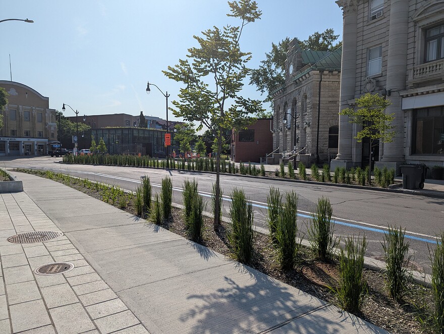 PXL_20250613_123350159