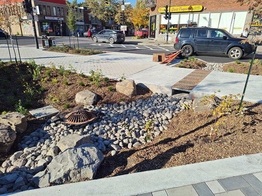 IMG_20251002_160156514_HDR